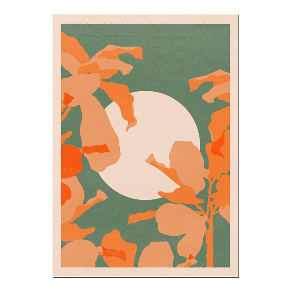 Ficus | Print