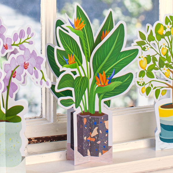 A 3-D paper plant with colorful flowers in a black pot with a speckled pattern. The paper plant is standing on a window sill next to other paper plants.