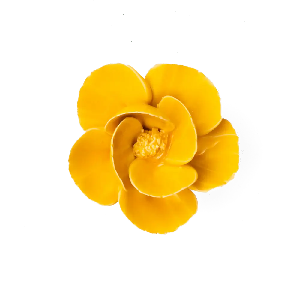 Burnt Yellow Poppy Flower Shop Gift Items