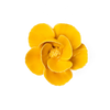 Burnt Yellow Poppy Flower Shop Gift Items