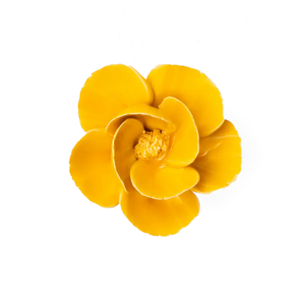 Burnt Yellow Poppy Flower Shop Gift Items