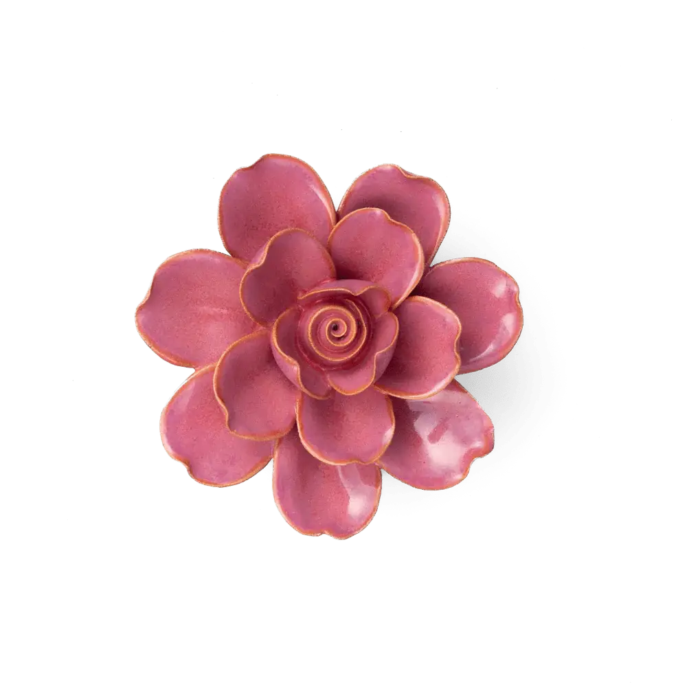 Blush Pink Tahitian Gardenia Flower Shop Gift Items