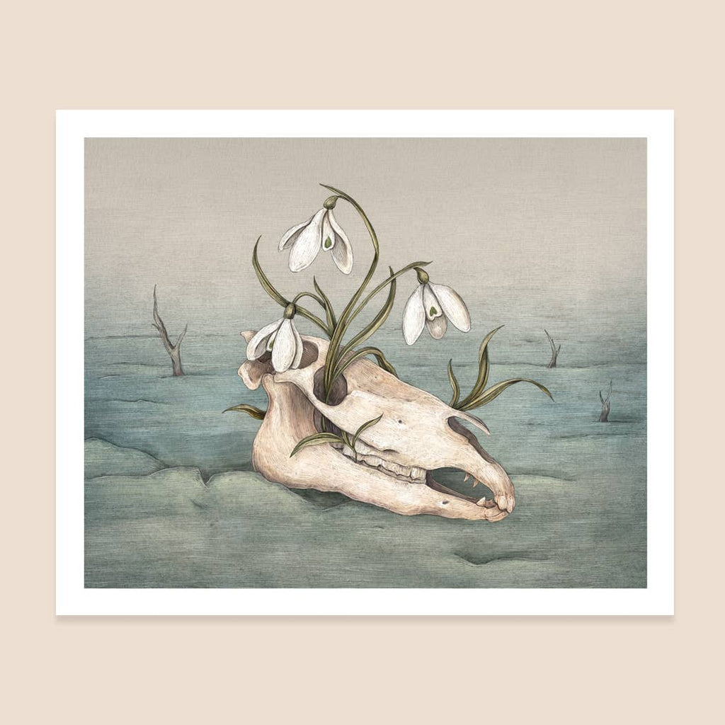 Print | Snowdrop Skull 10" x 8"