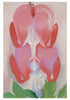 Georgia O'Keeffe Paintings Boxed Notecard Assortment