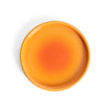 Coaster Plate | Earth
