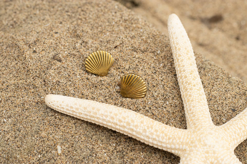 Earrings | Coquillage Studs - Brass Shell