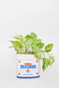 Ceramic Planter, Sugar Jar