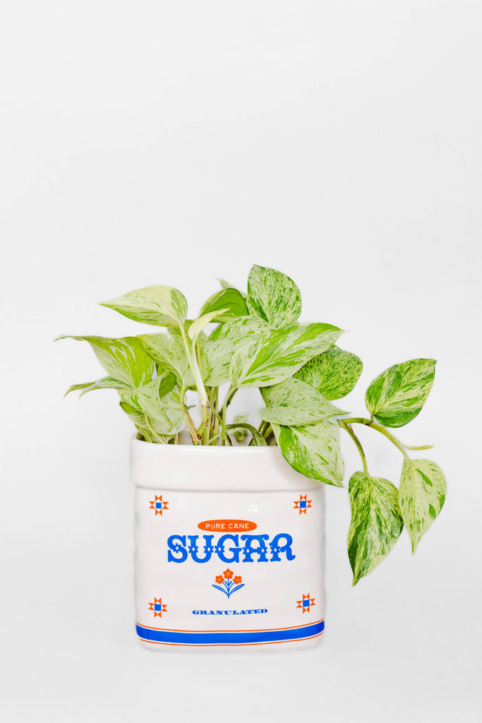 Ceramic Planter, Sugar Jar