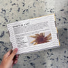 Black Eyed Susan (5") - DIY Embroidery Kit