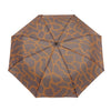Umbrella (Automatic) | Daily Blue Ripples