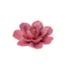Blush Pink Tahitian Gardenia Flower Shop Gift Items