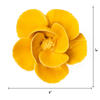 Burnt Yellow Poppy Flower Shop Gift Items