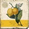 Coasters | Lemon Botanical