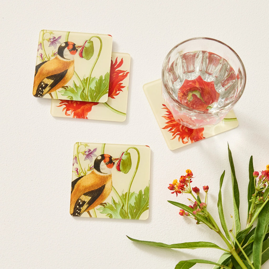 Coaster & Magnet Set | Maria Sybilla Merian