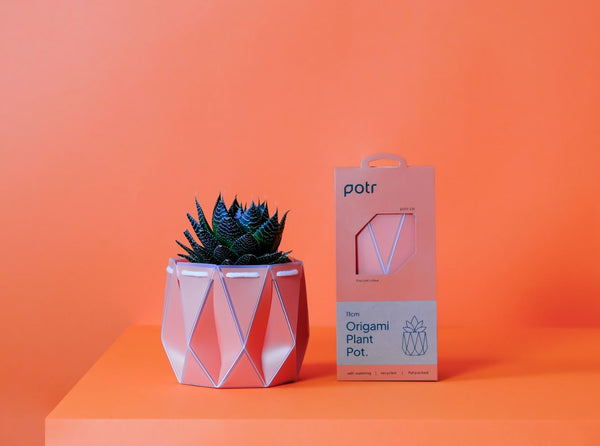 Self-Watering POTR | Coral 11cm