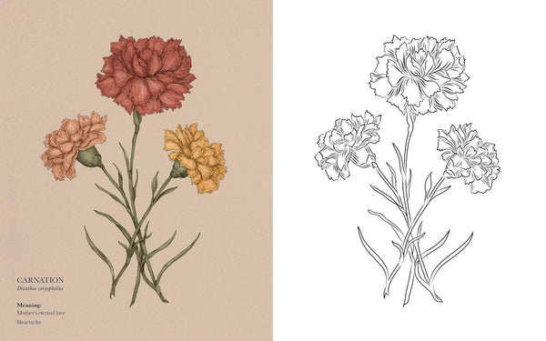 Coloring Book | Floriography