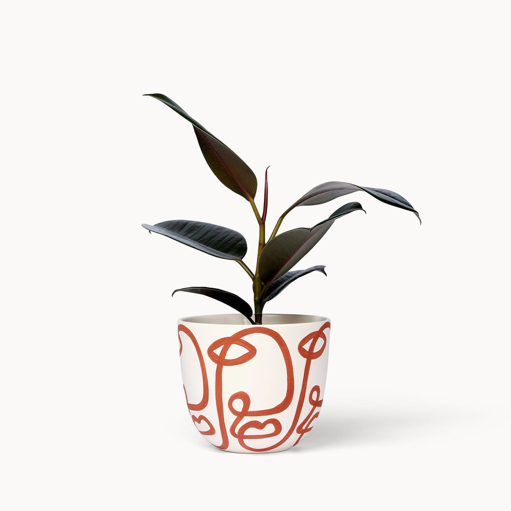 One hand-painted vessel in white with free-flowing curves in terracotta painted on it, resembling faces. A plant is standing in the vessel.