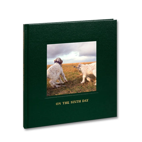 Alessandra Sanguinetti: On The Sixth Day