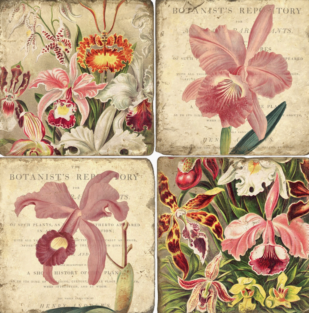 Orchid Botanical | Coaster Set