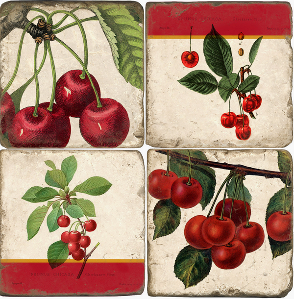 Coasters | Cherries