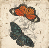 Coasters | Butterflies