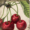 Coasters | Cherries