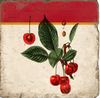 Coasters | Cherries