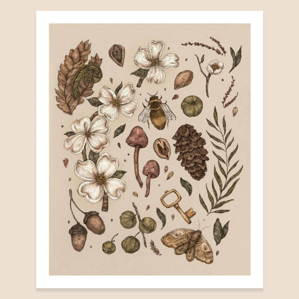 Print | Nature Walks Light