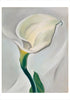 Boxed Notecard Assort. | Georgia O'Keeffe Paintings