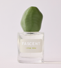 EDP | I Fig You