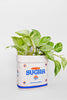 Ceramic Planter, Sugar Jar