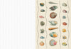 The Collage Compendium: 2,000 Images to Cut Out & Collage