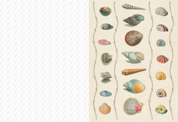 The Collage Compendium: 2,000 Images to Cut Out & Collage
