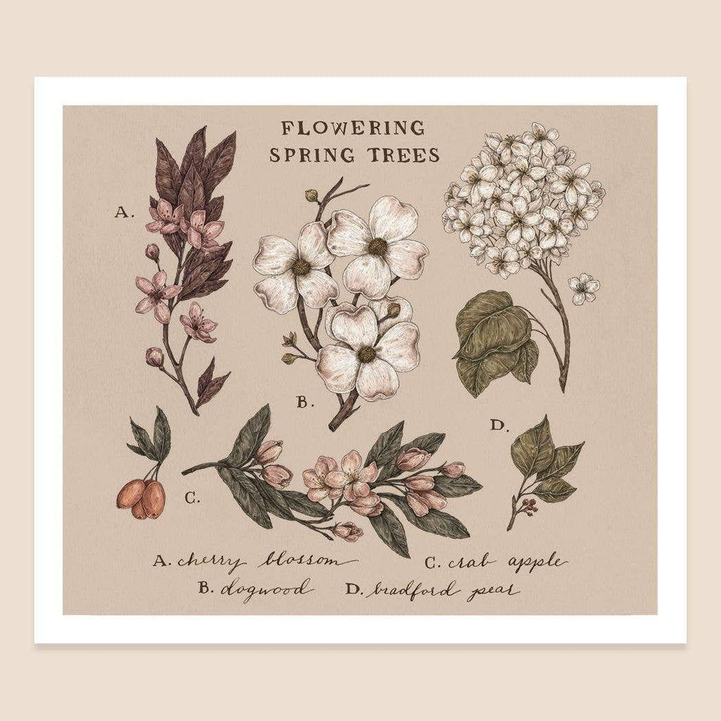 Print | Flowering Spring Trees 10.5” x 9"
