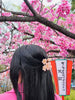 Hand-painted Cherry Blossom Flower Claw Hair Clip | Eco-Friendly