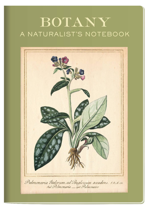 Notebook | Botany Naturalist's