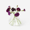 Vase | Bub Bud