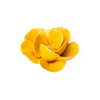 Burnt Yellow Poppy Flower Shop Gift Items