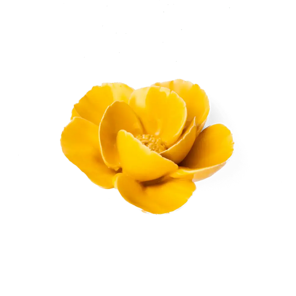 Burnt Yellow Poppy Flower Shop Gift Items