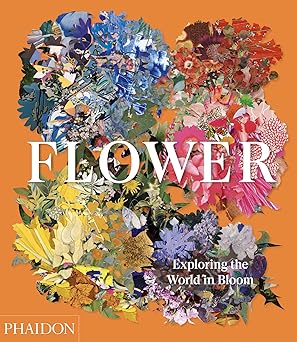 Flower: Exploring the World in Bloom