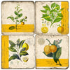 Coasters | Lemon Botanical