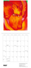 Georgia O'Keeffe 2027 Mini Wall Calendar