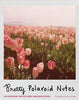 Pretty Polaroid Notes