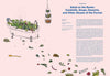 Salad for President: A Cookbook Inspired by Artists