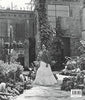 Frida Kahlo's Garden