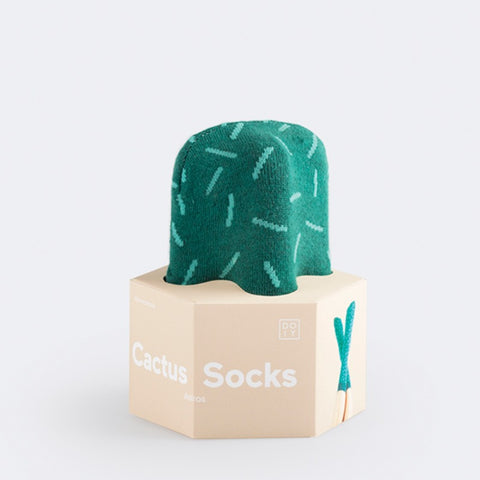 Socks | Astro Cactus