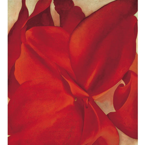 Georgia O'Keeffe | Boxed Notecard Assortment